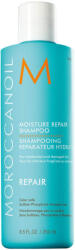 Moroccanoil Repair sampon regenerant 70 ml