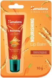 Himalaya Herbals Tápláló ajakbalzsam 10 g