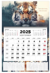 KALENDART 2025/2026 Tiger 16 havi diák falinaptár (26D7620-000) - haztartasibolt