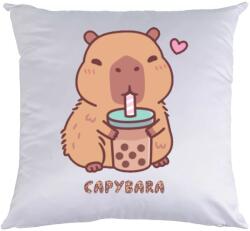 poklon. hu Egyedi fényképes, szöveges Capybara gyerek párna - poklon. hu Hogyan szeretné? : Csak párnahuzat (2800 Ft)