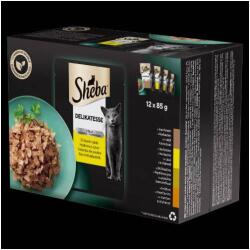 Mars-Nestlé Sheba Delicacy in Jelly Adult - Alutasakos (Baromfi válogatás, zselés) macskák részére (12x85g)