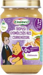 Univer Trópusi gyümölcsös rizs csirkehússal 220 g