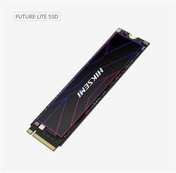 Hikvision FUTURE LITE 4TB (HS-SSD-FUTURE LITE(STD)/4096G/PCIE4/WW)