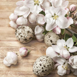 Papír szalvéta - Húsvét - Quail Eggs