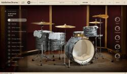 XLN Audio AD2: Vintage Dead (Produs digital)