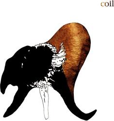 Coil Black Antlers - facethemusic - 16 390 Ft