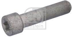 Febi Bilstein Surub, disc frana FEBI BILSTEIN 194272 (194272) - automobilus