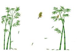 Original Deals dekoratív matrica bútorokhoz és falhoz, bambusznövények és kolibri, 295 x 165 cm (22AGL1089)