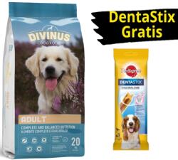 DIVINUS Divinus Adult felnőtt kutyáknak 20 kg + INGYENES 3x PEDIGREE DentaStix fogápolási jutalomfalat kutyáknak 45/77 g