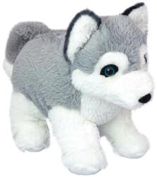 Wild Planet Jucărie de pluș Wild Planet - Cățeluș Husky, 25 cm (K8707)