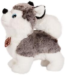 Amek Toys Jucărie de pluș Amek Toys - Husky cu ochi albaștri strălucitori, 19 cm (10248)