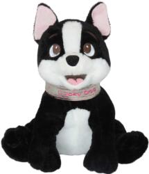 Amek Toys Jucărie de pluș Amek Toys - Câine cu lesă, 22 cm (10224)