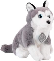 Amek Toys Jucărie de pluș Amek Toys - Husky cu medalion, 28 cm (10255)