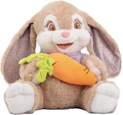 Amek Toys Jucărie de pluș Amek Toys - Un iepure cu un tricou și un morcov, 45 cm (11017)