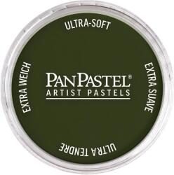 PanPastel Artists’ Szárazpasztell 660.3 Chromium Oxide Green Shade 1 db (8026603-1)