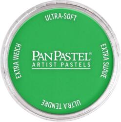 PanPastel Artists’ Сух пастел 640.5 Permanent Green 1 бр (<![CDATA[8026405-1]]>)