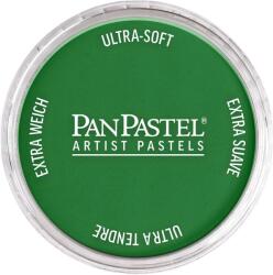 PanPastel Artists’ Pastel uscat 640.3 Permanent Green Shade 1 buc (8026403-1)