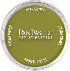 PanPastel Artists’ Сух пастел 680.3 Bright Yellow Green Shade 1 бр (<![CDATA[8026803-1]]>)
