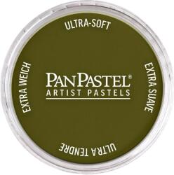 PanPastel Artists’ Pastel uscat 680.1 Bright Yellow Green Extra Dark 1 buc (8026801-1)