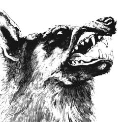 Crippled Black Phoenix I, Vigilante - facethemusic - 13 190 Ft