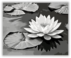  Fehér Lótusz Nyugodt Víz Felszínén - számfestő készlet
