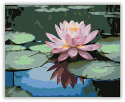  Rózsaszín Lótusz Tükröződésekkel - számfestő készlet