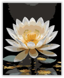  Aranyló Lótusz Fekete Háttérrel - számfestő készlet
