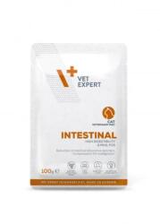 VetExpert Hrana dietetica pentru pisici Intestinal VetExpert 100 gr