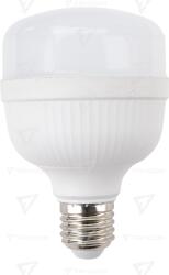TRACON Sursă de lumină LED de mare putere, cu LED SAMSUNG 220-240 V, 50 Hz, 20 W, 4000 K, 1700 lm, E27, EEI=F (LHPSE2720NW)