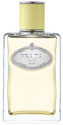 Prada Les Infusions de Gingembre EDP 100 ml Tester