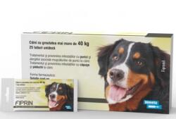  Bioveta 10 x Fiprin spot dog XL (>40 kg), 4.02 ml