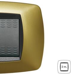 Master Placa ornament technopolimer monobloc, 2 module, galben perlat (39MP322)