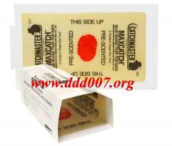 AP&G Co. Inc. USA Леплива плоскост Гигант - 45/27см. против гризачи, насекоми и змии