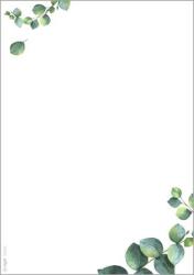 SIGEL Előnyomott papír, kétoldalas, A5, 90 g. SIGEL Eucalyptus (DP682)