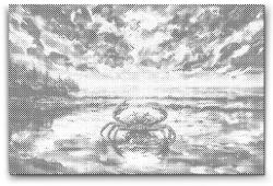 PontPöttyöző - Rák Méret: 40x60cm, Keretezés: Kartonlemezen, Szín: Fekete
