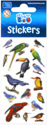 Javoli Madár Parrot matrica szett (SPK498836A)
