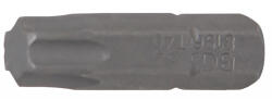 BGS technic Bit Torx T40, antrenare 1/4", BGS 8196 (B-8196) Set capete bit, chei tubulare