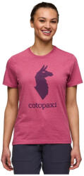 Cotopaxi Llama T-Shirt női póló S / szürke