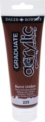 Daler-Rowney Graduate Akril festék Burnt Umber 120 ml 1 db (123120225)