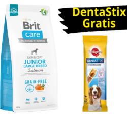 Brit BRIT CARE Dog Gabonamentes Junior nagytestű lazac 12kg + DentaStix fogápoló GRATIS ! ! !