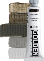 Golden Artist Colors Heavy Body Vopsea acrilică Raw Umber 59 ml 1 buc (0001350-2)