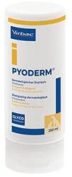  Pyoderm sampon 250ml - alfadog24