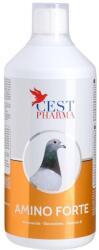  Amino forte 1000ml