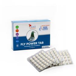 Fly Power Tab