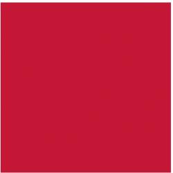 Folia plakátkarton 50x70 cm, 380g/ m2, piros (6521111111)