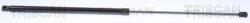 TRISCAN Amortizor capota TRISCAN 8710 29150 (8710 29150) - fixbox