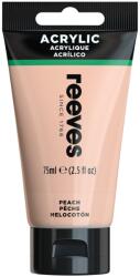 Reeves Akrilfesték őszibarack 75ml Reeves