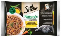 Mars-Nestlé Sheba Nature's Collection Adult Alutasakos - baromfi válogatás - aszpikban (4x85g)