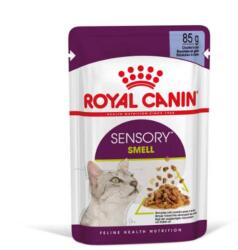 Royal Canin Feline Adult (Sensory Smell) - alutasakos (falatkák, pecsenyelé) eledel macskák részére (85g)
