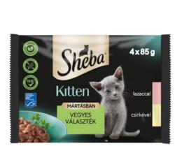 Mars-Nestlé Sheba Kitten Selectie Mix - alutasakos mártásban (lazac, csirke) kölyökmacskák részére (4x85g)